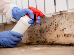 Professional Mold Removal & Remediation in Hebron, OH